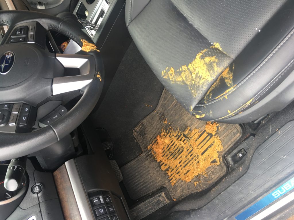 Adventures in Poop Life on Autism Lane